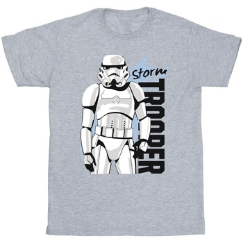 Vêtements Fille T-shirts manches longues Disney Storm Trooper Gris