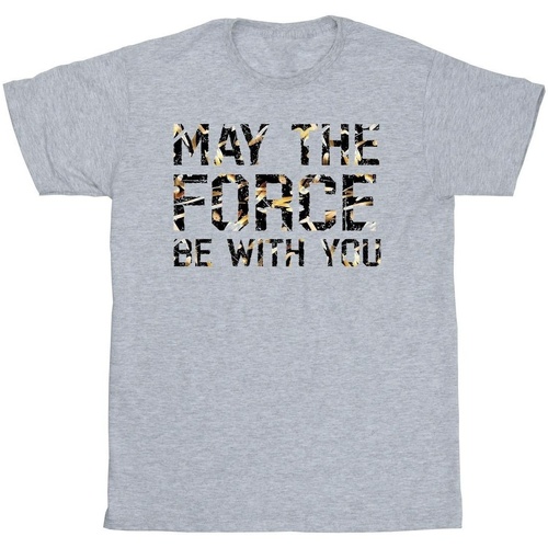 Vêtements Fille T-shirts manches longues Disney May The Force Infill Gris