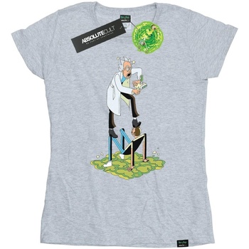 Vêtements Femme T-shirts manches longues Rick And Morty Stylised Characters Gris