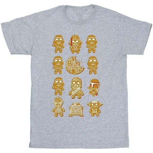 Vêtements Fille T-shirts manches longues Disney Episode IV: A New Hope 12 Gingerbread Gris