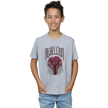 Vêtements Garçon T-shirts manches courtes Disney Rebels Rebellion Gris
