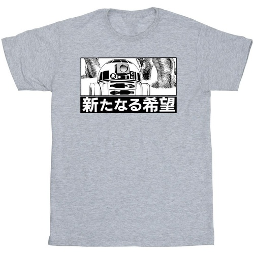 Vêtements Fille T-shirts manches longues Disney R2D2 Japanese Gris