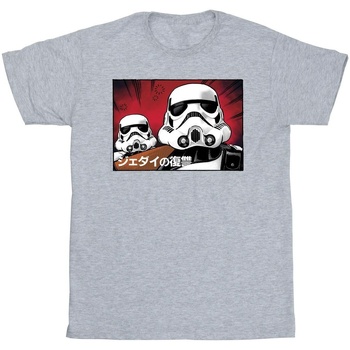 Vêtements Fille T-shirts manches longues Disney Stormtrooper Japanese Gris