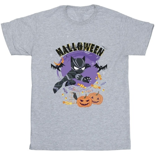 Vêtements Homme T-shirts manches longues Marvel Black Panther Halloween Gris