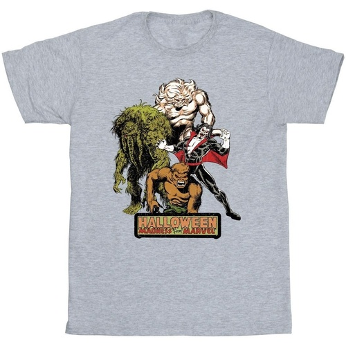 Vêtements Homme T-shirts manches longues Marvel Halloween Monsters Gris