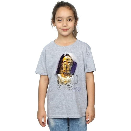 Vêtements Fille T-shirts manches longues Disney The Last Jedi C-3PO Brushed Gris