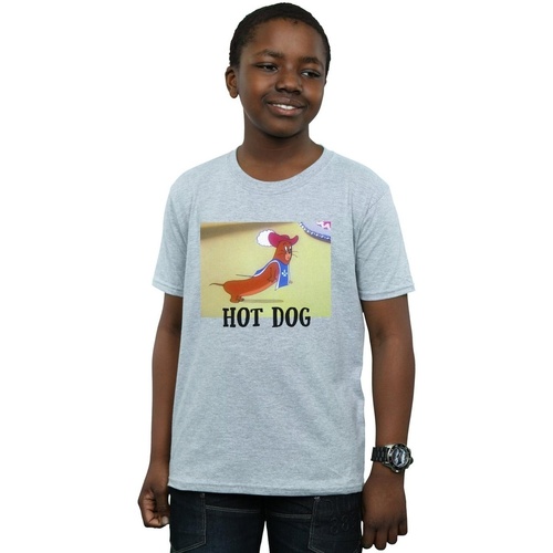 Vêtements Garçon T-shirts manches courtes Dessins Animés Hot Dog Gris