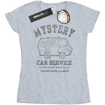 Vêtements Femme T-shirts manches longues Scooby Doo Mystery Car Service Gris