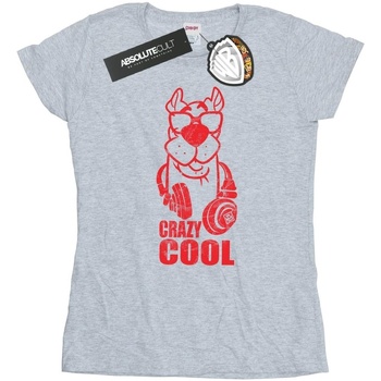 Vêtements Femme T-shirts manches longues Scooby Doo Crazy Cool Gris