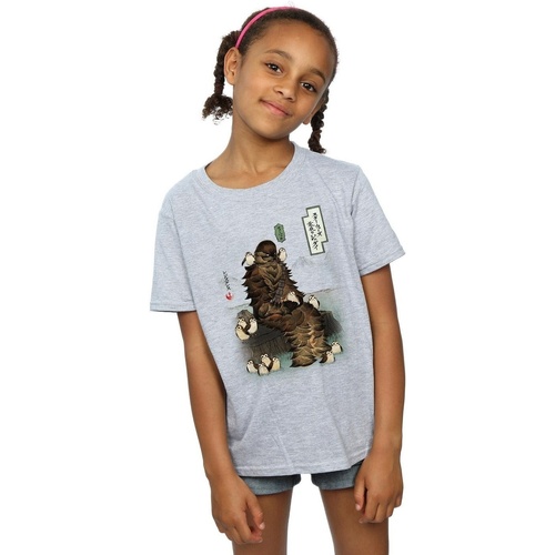 Vêtements Fille T-shirts manches longues Disney The Last Jedi Japanese Chewbacca Porgs Gris