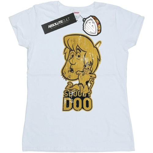 Vêtements Femme T-shirts manches longues Scooby Doo And Shaggy Blanc