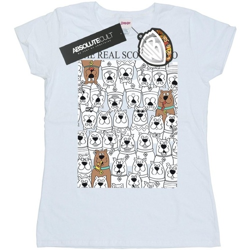 Vêtements Femme T-shirts manches longues Scooby Doo The Real Blanc