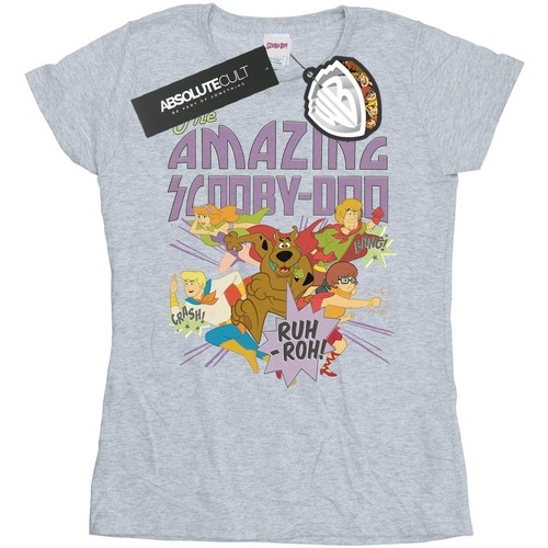 Vêtements Femme T-shirts manches longues Scooby Doo The Amazing Scooby Gris