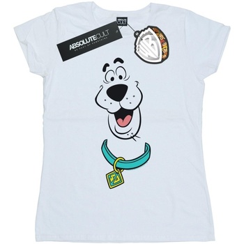 Vêtements Femme T-shirts manches longues Scooby Doo Big Face Blanc