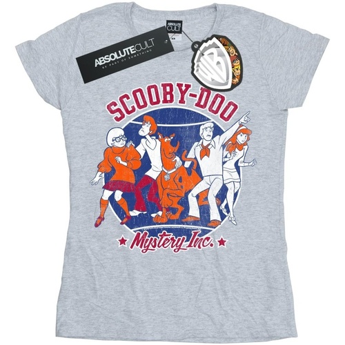 Vêtements Femme T-shirts manches longues Scooby Doo Collegiate Circle Gris