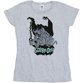 Vêtements Femme T-shirts manches longues Scooby Doo Scared Jump Gris