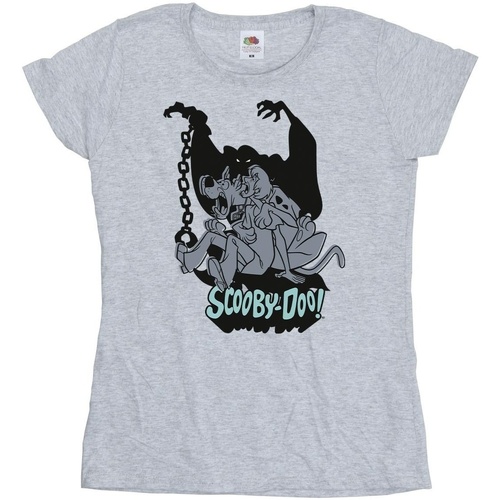 Vêtements Femme T-shirts manches longues Scooby Doo BI38741 Gris
