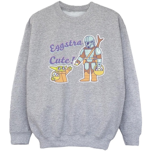 Vêtements Fille Sweats Disney The Mandalorian Eggstra Cute Grogu Gris