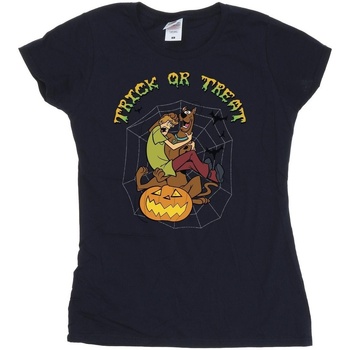 Vêtements Femme T-shirts manches longues Scooby Doo Trick Or Treat Bleu