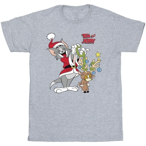 Vêtements Garçon T-shirts manches courtes Tom & Jerry Christmas Reindeer Gris