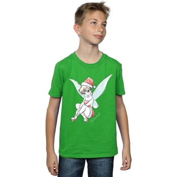 Vêtements Garçon T-shirts manches courtes Disney Tinkerbell Christmas Fairy Vert