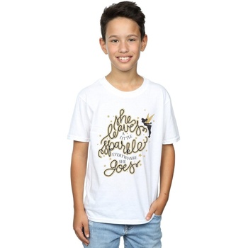 Vêtements Garçon T-shirts manches courtes Disney Tinkerbell Stars Blanc