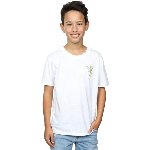 Vêtements Garçon T-shirts manches courtes Disney Tinkerbell Chest Blanc