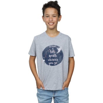 Vêtements Garçon T-shirts manches courtes Disney Tinker Bell A Little Sparkle Gris