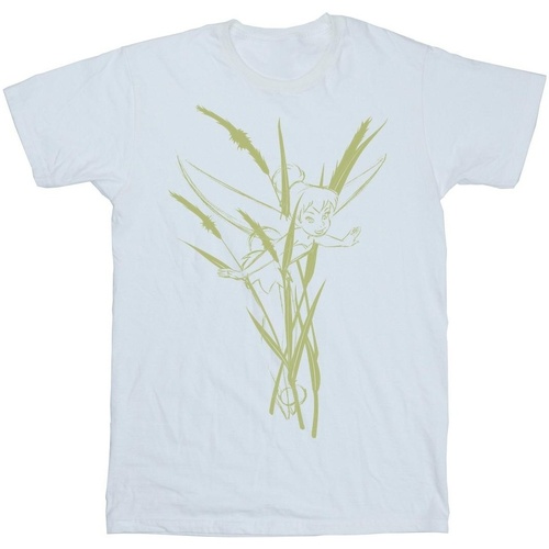 Vêtements Garçon T-shirts manches courtes Disney Tinkerbell Nature Blanc
