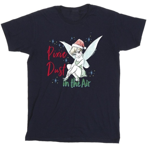 Vêtements Garçon T-shirts manches courtes Disney Tinker Bell Pixie Dust Bleu