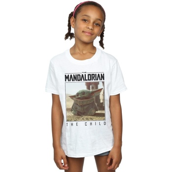 Vêtements Fille T-shirts manches longues Disney The Mandalorian The Child Frame Blanc