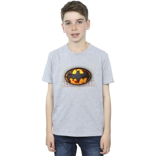 Vêtements Garçon T-shirts manches courtes Dc Comics The Flash Batman Red Splatter Gris
