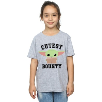 Vêtements Fille T-shirts manches longues Disney The Mandalorian Cutest Bounty Gris