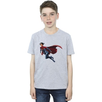 Vêtements Garçon T-shirts manches courtes Dc Comics The Flash Supergirl Gris