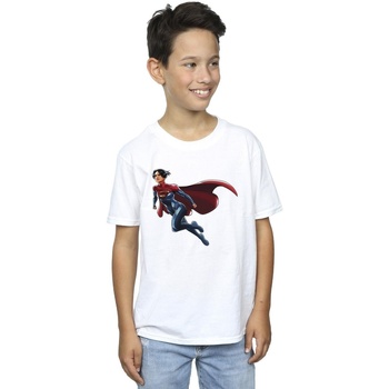 Vêtements Garçon T-shirts manches courtes Dc Comics The Flash Supergirl Blanc
