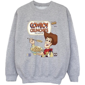 Vêtements Garçon Sweats Disney Toy Story Woody Cowboy Crunchies Gris
