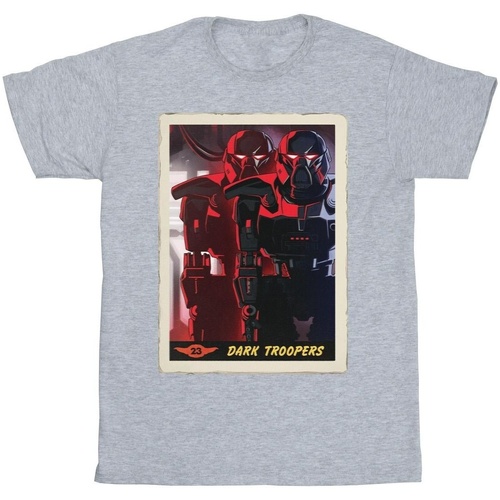Vêtements Fille T-shirts manches longues Disney The Mandalorian Dark Troopers Gris