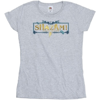 Vêtements Femme T-shirts manches longues Dc Comics Shazam Fury Of The Gods Golden Logo Gris