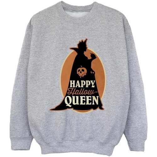 Vêtements Garçon Sweats Disney Villains Hallow Queen Gris