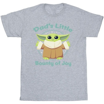 Vêtements Fille T-shirts manches longues Disney The Mandalorian Bounty Of Joy Gris
