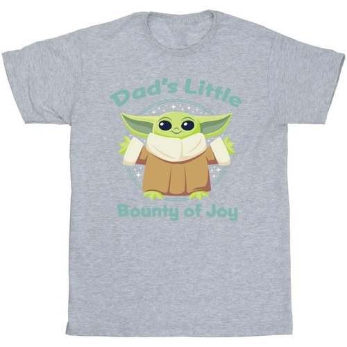 Vêtements Fille T-shirts manches longues Disney The Mandalorian Bounty Of Joy Gris