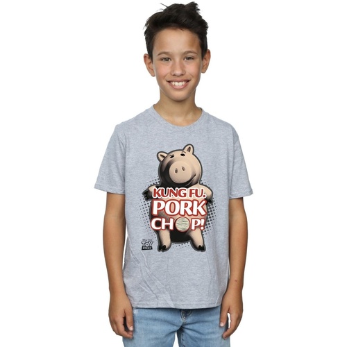 Vêtements Garçon T-shirts manches courtes Disney Toy Story Kung Fu Pork Chop Gris