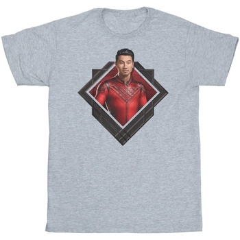 Vêtements Femme T-shirts manches longues Marvel Shang-Chi And The Legend Of The Ten Rings Photo Crest Gris