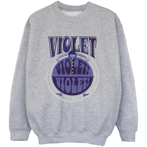 Vêtements Garçon Sweats Willy Wonka Violet Turning Violet Gris