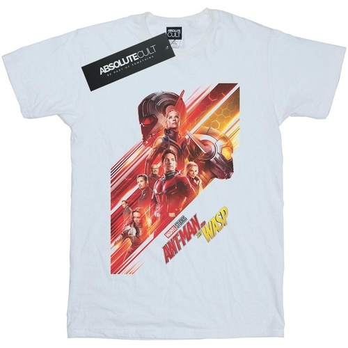 Vêtements Femme T-shirts manches longues Marvel Studios Ant-Man And The Wasp Poster Blanc