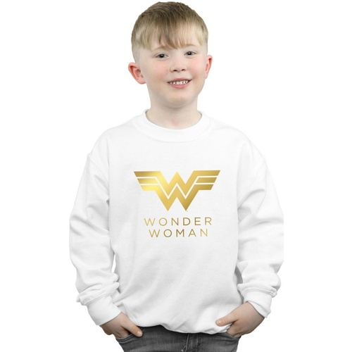 Vêtements Garçon Sweats Dc Comics Wonder Woman 84 Golden Logo Blanc