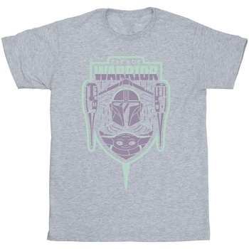 Vêtements Fille T-shirts manches longues Disney The Mandalorian Fierce Warrior Patch Gris