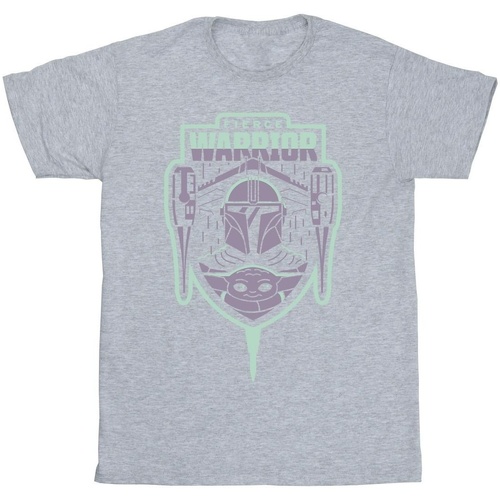 Vêtements Fille T-shirts manches longues Disney The Mandalorian Fierce Warrior Patch Gris