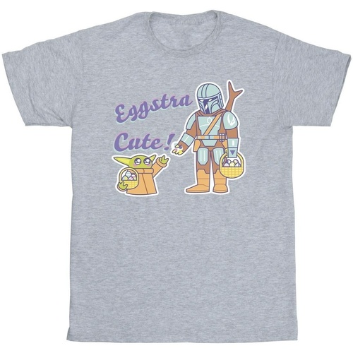Vêtements Fille T-shirts manches longues Disney The Mandalorian Eggstra Cute Grogu Gris