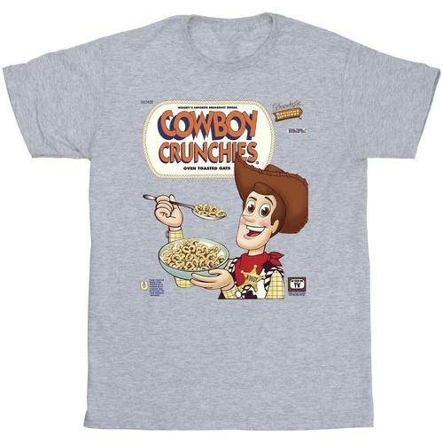 Vêtements Garçon T-shirts manches courtes Disney Toy Story Woody Cowboy Crunchies Gris